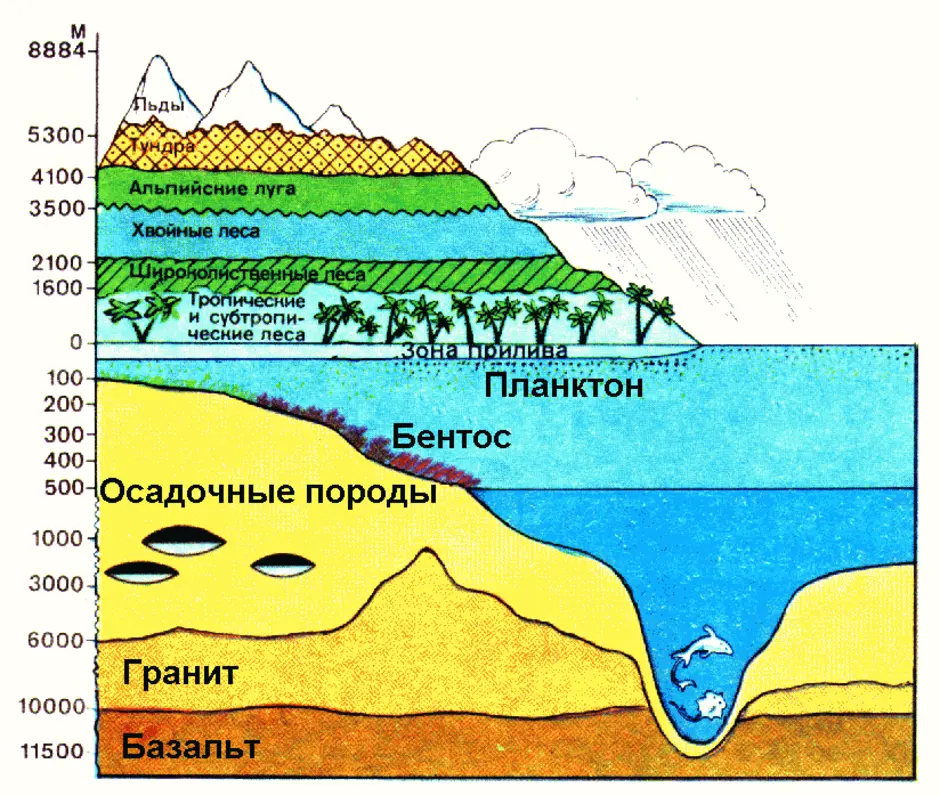 Что такое биосфера схема