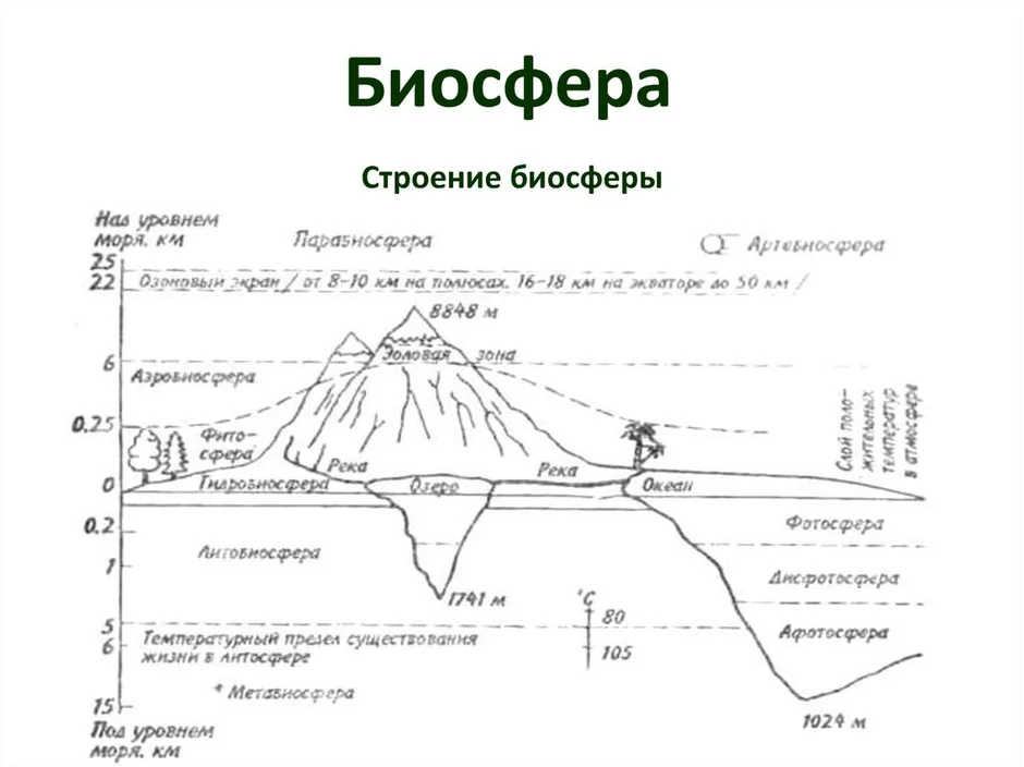 Схема границы биосферы рисунок