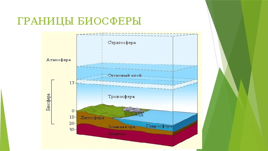 Нарисовать границы биосферы