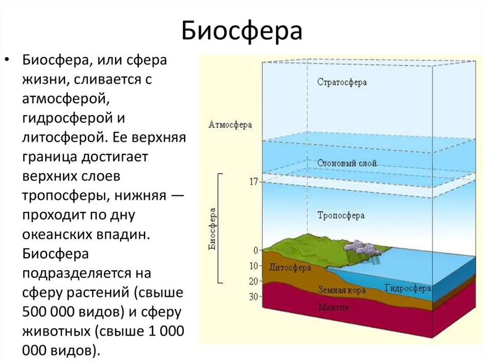 Нарисовать границы биосферы