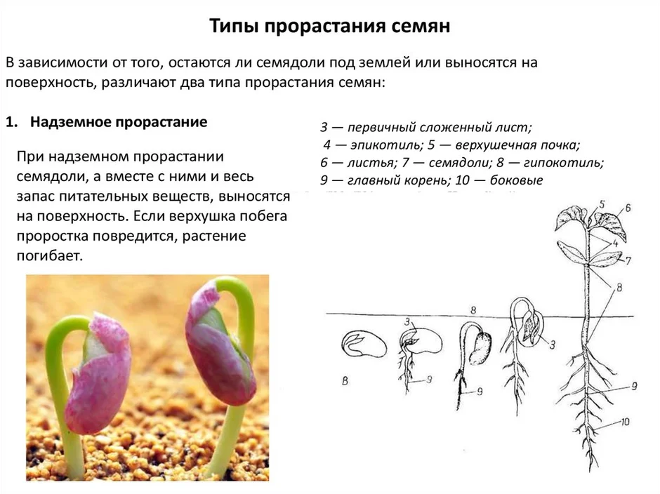 Назовите еще одно обязательное условие не указанное на рисунке чтобы данный процесс прошел успешно