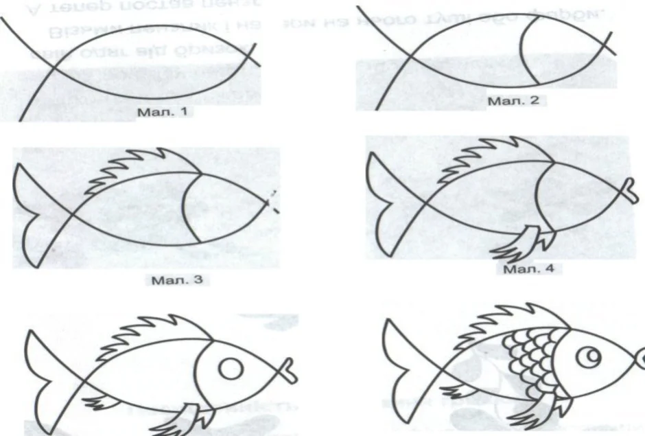 Главные признаки рыб схематический рисунок. Поэтапное рисование рыбки. Поэтапное рисование рыбки в средней группе. Рисование рыбы в подготовительной группе поэтапное. Схемы поэтапного рисования для старшей группы.