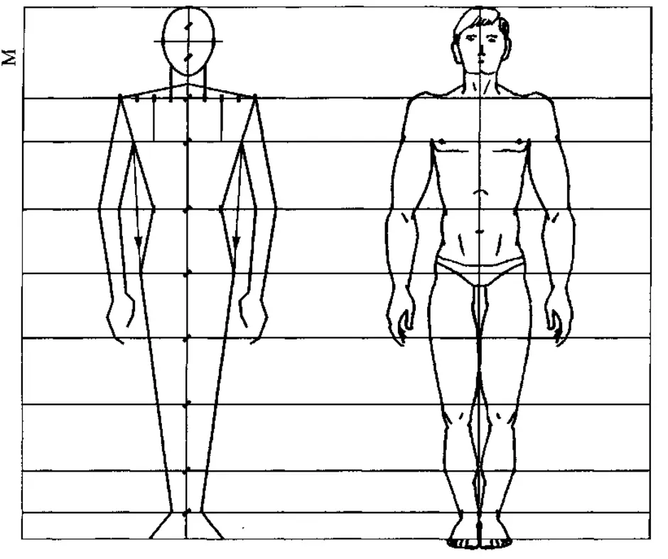 Рост пример людей. Пропорции тела человека схема. Схема пропорций фигуры человека. Пропорции человека в полный рост схема. Построение фигуры человека поэтапно пропорции.