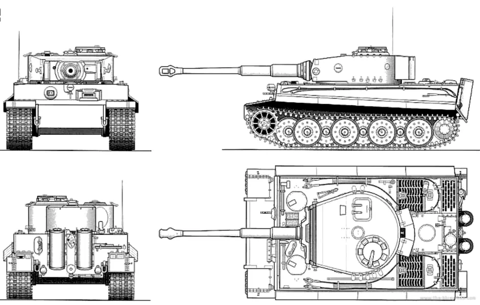 Как нарисовать тигр 1