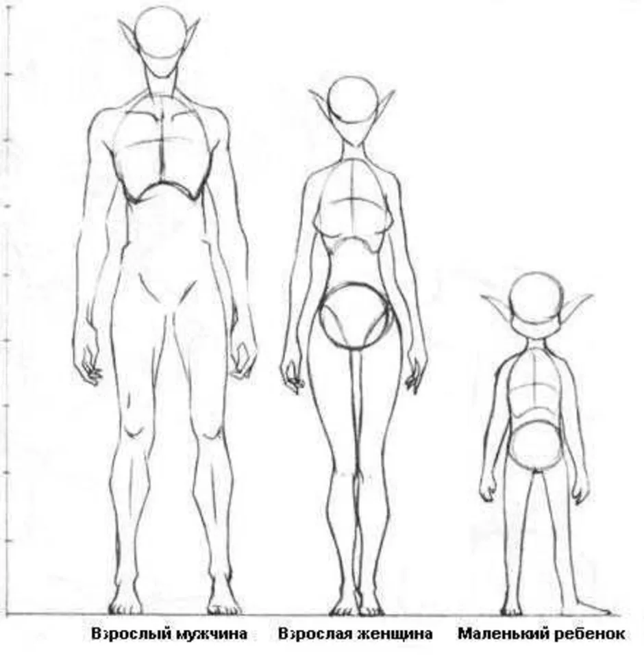 Тело людей как нарисовать