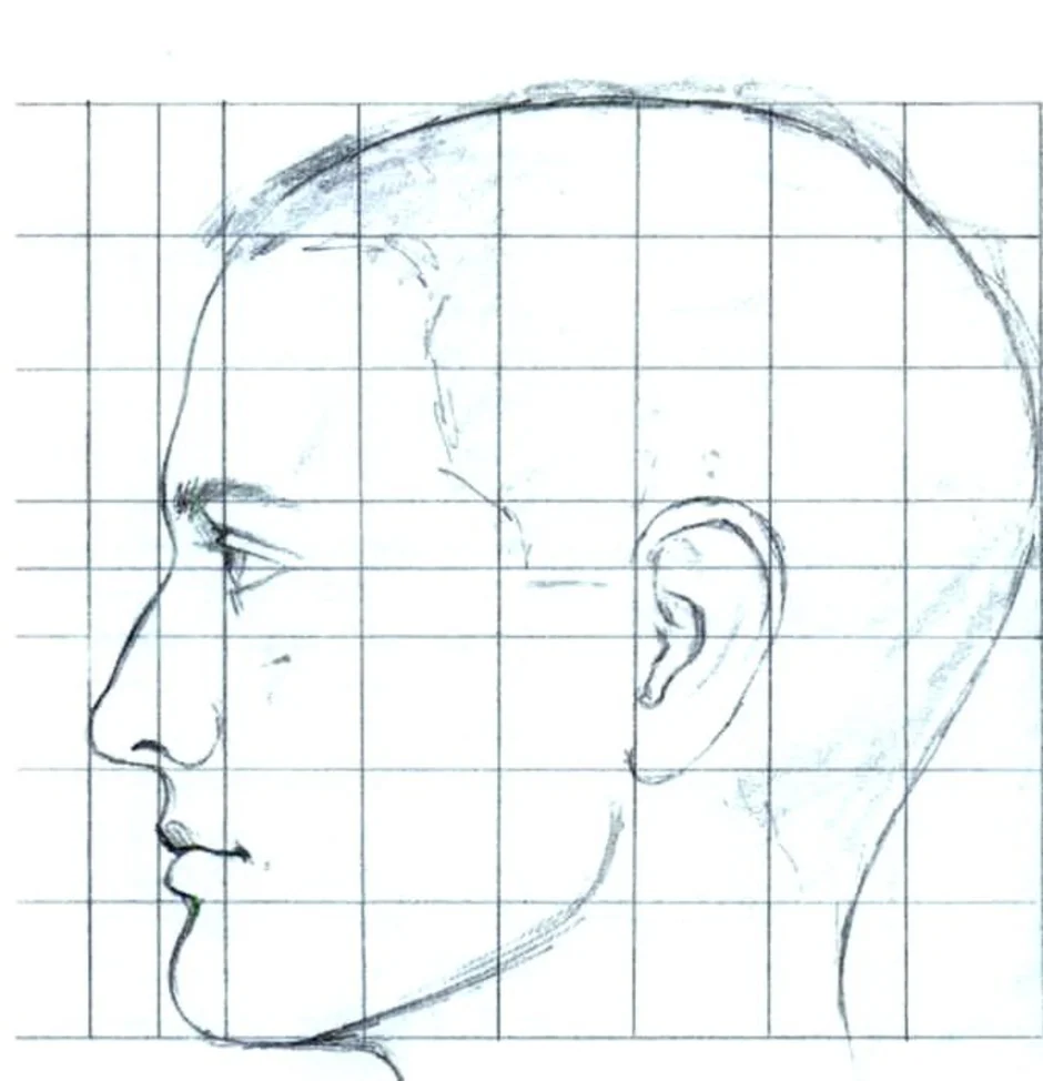 Профиль поэтапно. Рисование головы с боку. Портрет человека в профиль. Портрет сбоку. Голова человека в профиль.