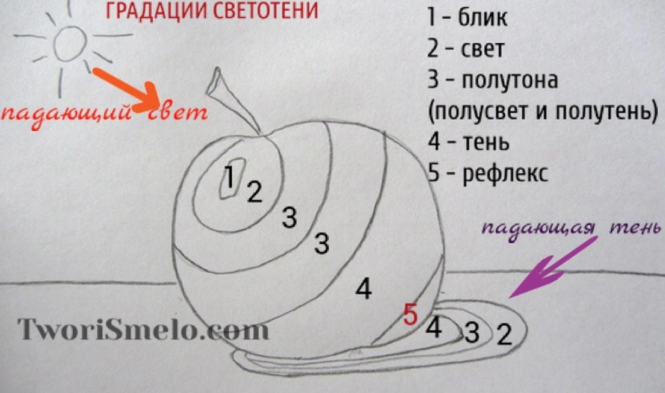 Блик свет тень полутень рефлекс блик в рисунке