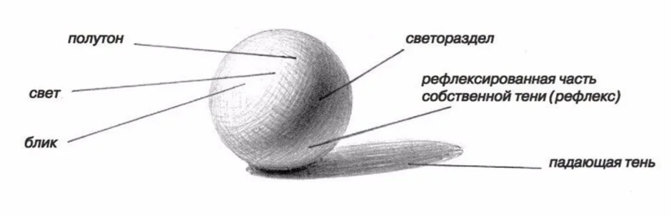 Тень полутень рефлекс в рисунке