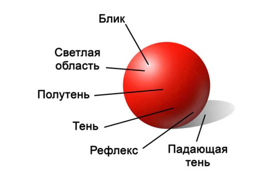 Свет блик тень полутень рефлекс блик в рисунке