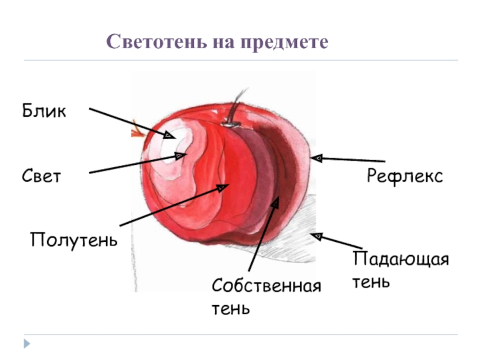 Рефлекс на рисунке карандашом