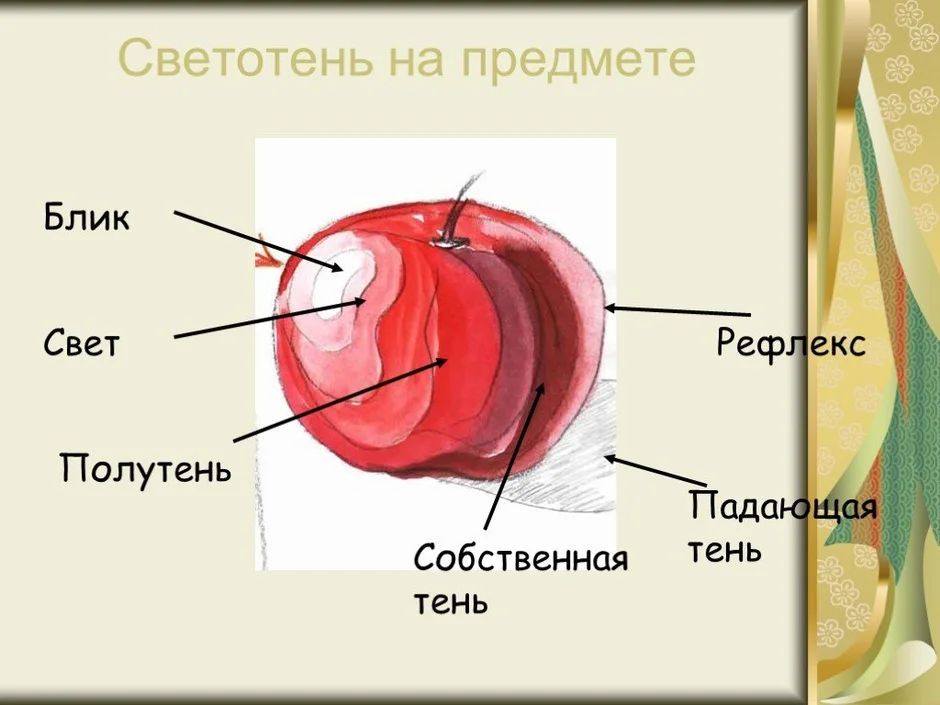 Блик свет тень полутень рефлекс блик в рисунке