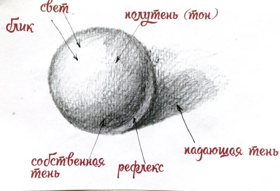 Градация это в рисунке. Тень полутень рефлекс в рисунке. Свет тень полутень рефлекс блик в рисунке карандашом. Свет тень полутень рефлекс блик в рисунке куб. Схема свет тень полутень рефлекс.