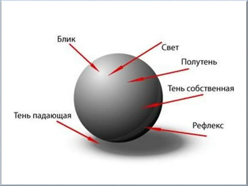 Тень полутень рефлекс в рисунке