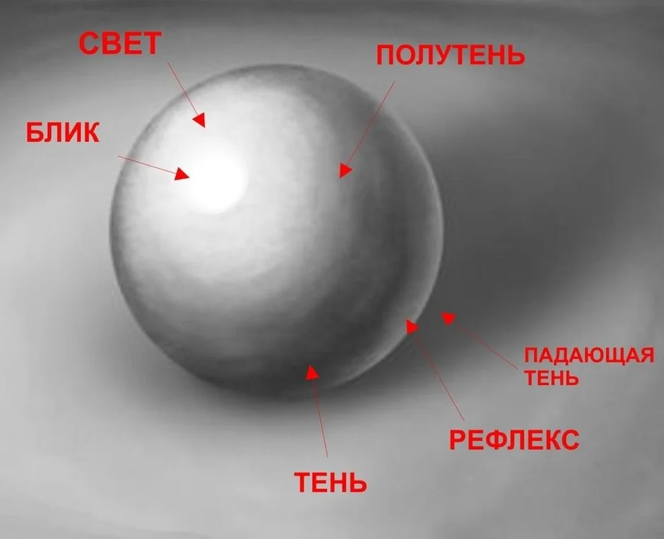 Блик тень полутень рефлекс в рисунке. Шар тень полутень блик рефлекс. Свет тень полутень рефлекс блик в рисунке. Рисунок свет тень полутень.