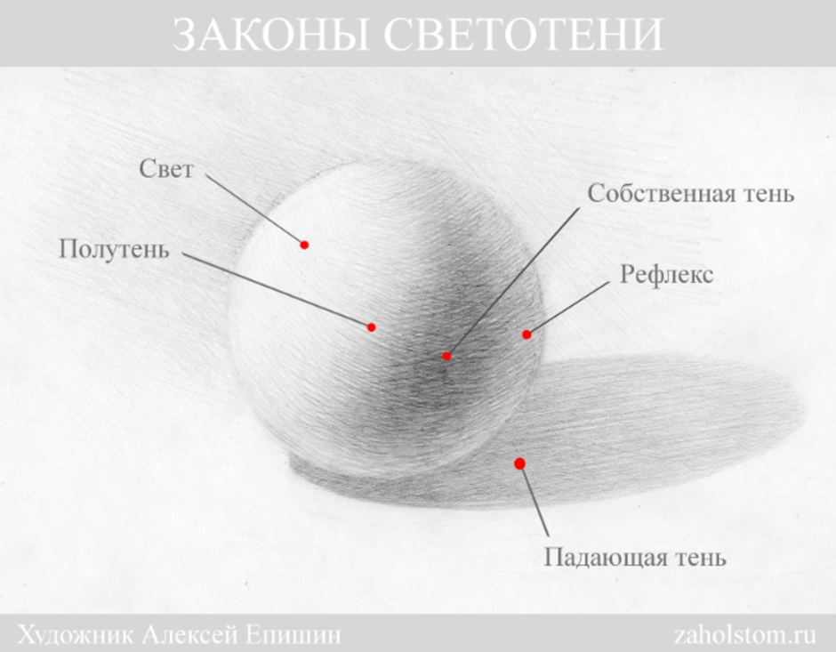 Свет тень полутень рефлекс блик в рисунке