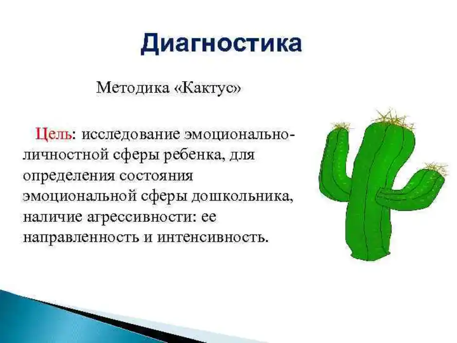 Рисунок кактуса интерпретация