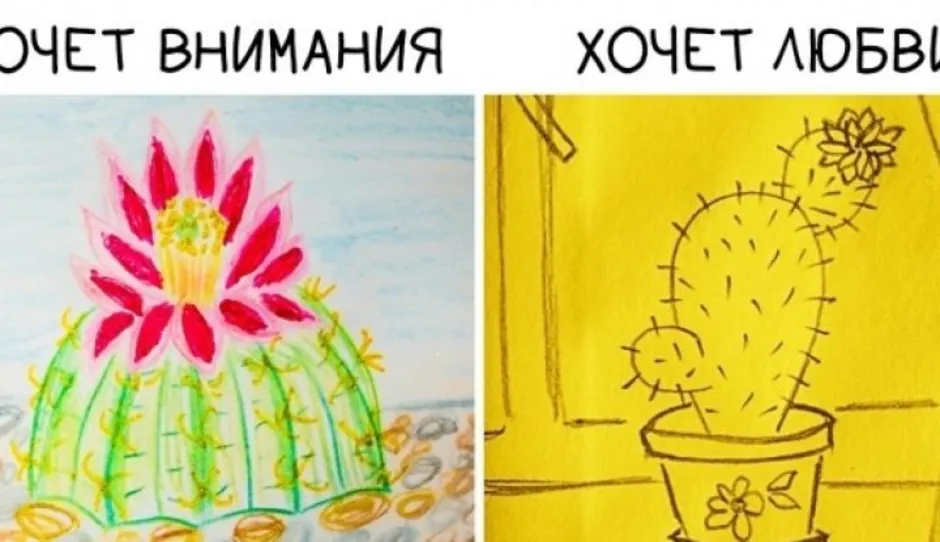 Кактус нарисовать психология