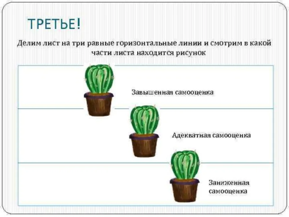 Рисунок кактуса интерпретация