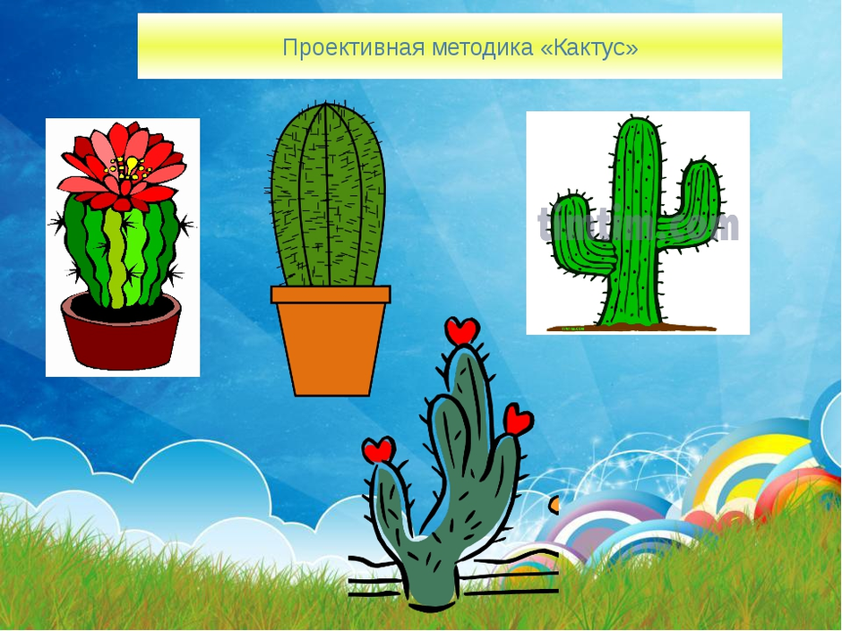 Рисунок кактуса интерпретация