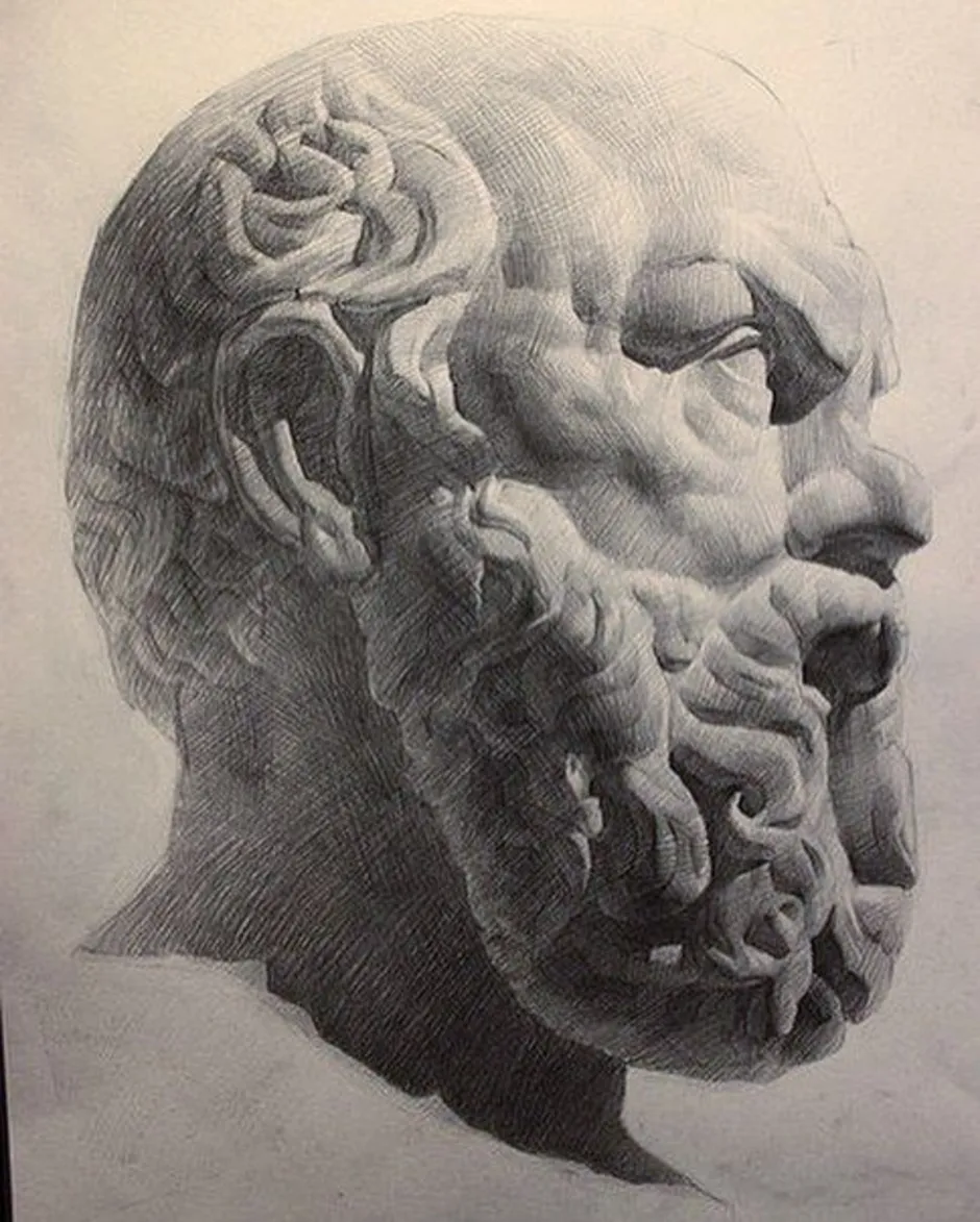 Аналитический рисунок. Голова Сократа МАРХИ. Сократ голова гипсовая МАРХИ. Сократ референс. Гипсовая голова Сократа Академический.
