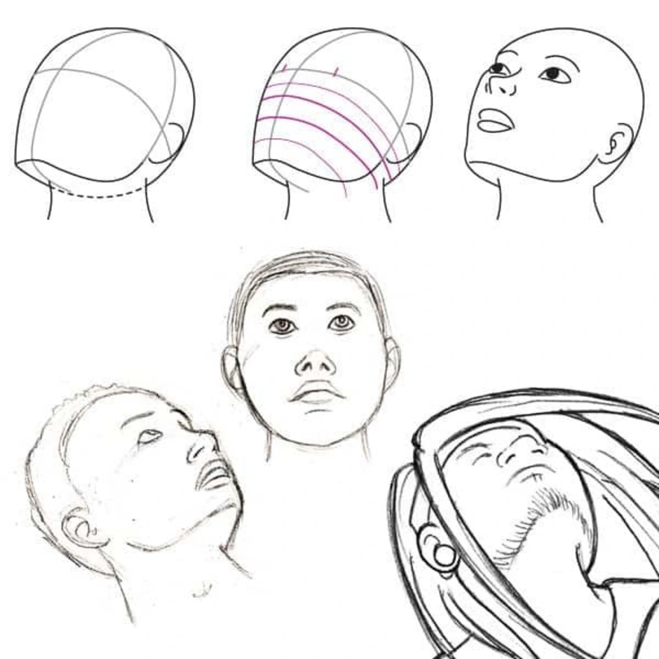 Позы головы человека. Портрет в разных ракурсах. Эскиз головы. Голова человека в разных ракурсах. Рисунок головы в разных ракурсах.