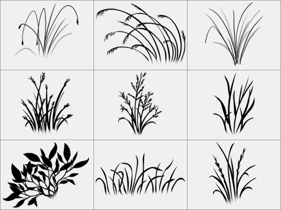 Рисовать карандашом травянистые растения