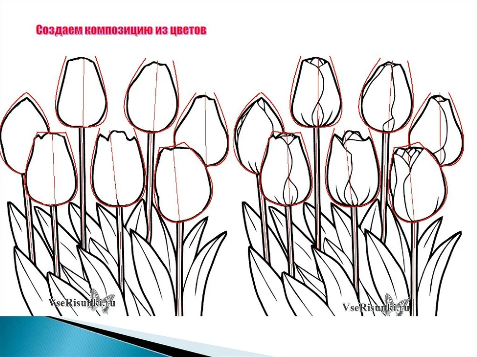 Тюльпаны рисунок 5 класс