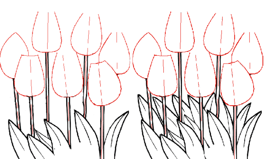 Как нарисовать тюльпаны карандашом поэтапно. Тюльпаны рисунок. Рисование тюльпанов. Трафарет тюльпана для рисования. Тюльпаны для рисования карандашом.