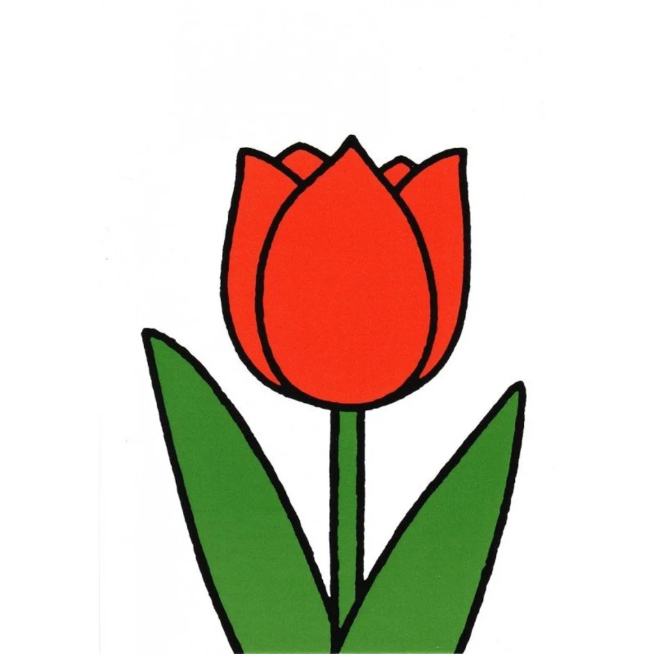 Tulip картинка для детей