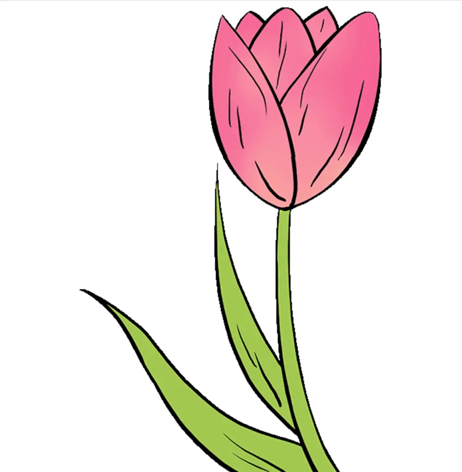 Tulip картинка для детей