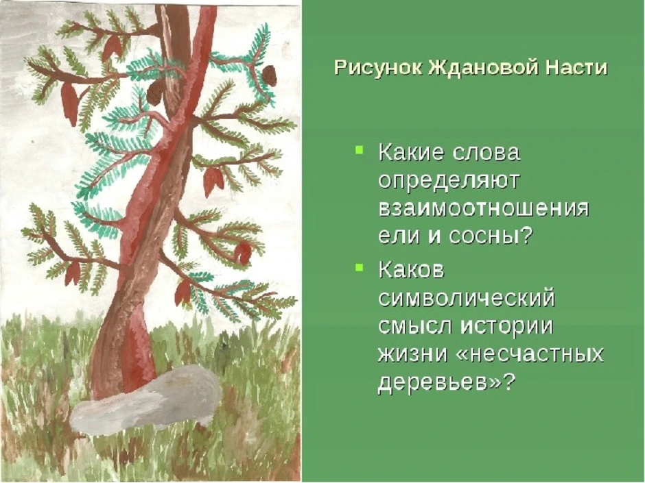 Нарисуйте елочки старушки растущие в этих местах сделайте подпись под рисунком