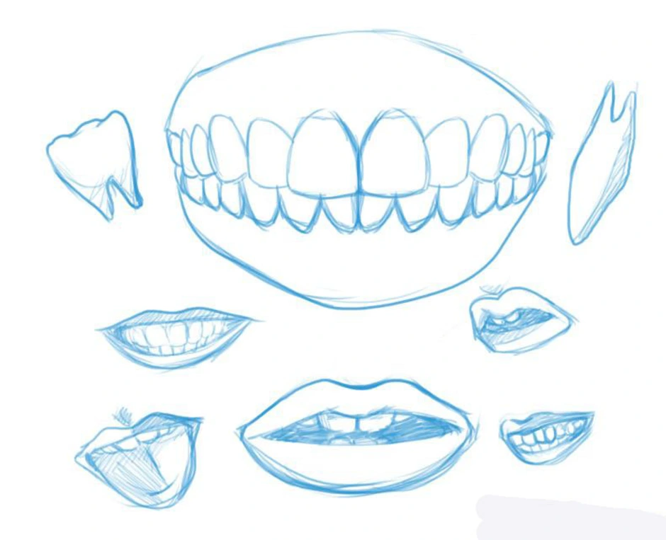 Зубы человека рисунок. Зуб карандашом. Карандаш в зубах референс. Как нарисовать зуб. Зубы скетч.