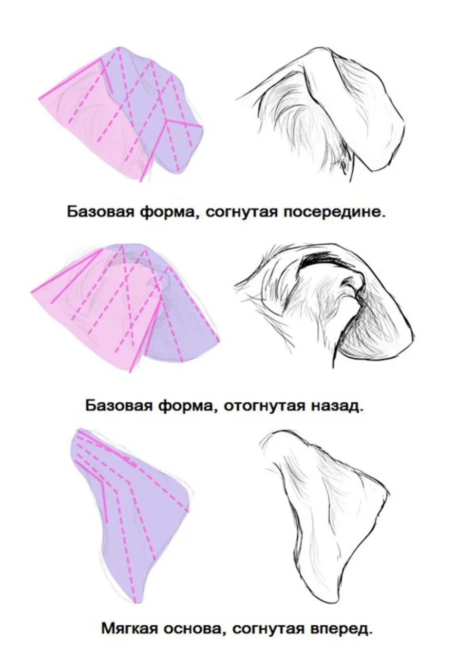 Собачьи уши как нарисовать