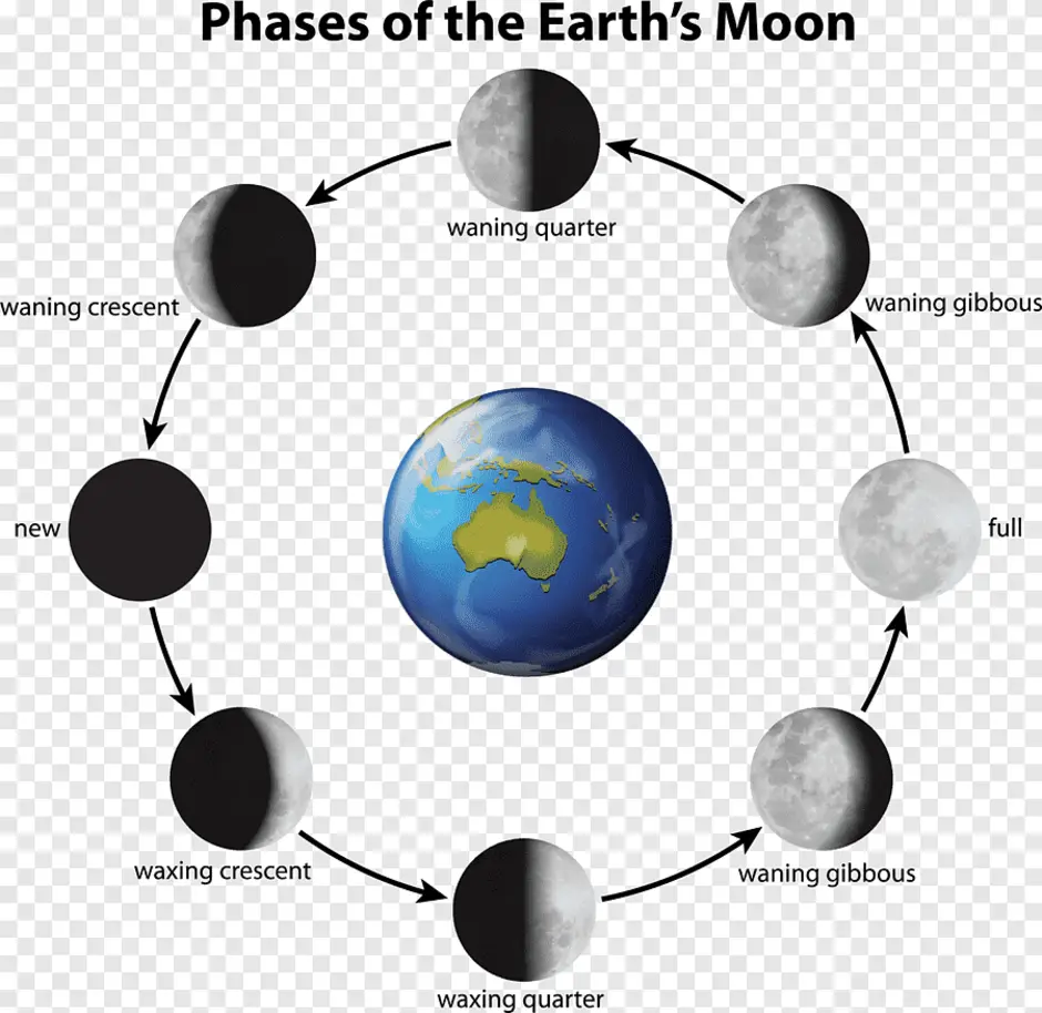 Как происходит смена лунных фаз рисунок