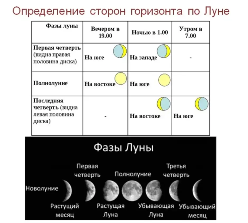 На какую луну квасить. Ориентация по Луне. Фазы Луны ориентирование. Фазы Луны схема. Определение сторон горизонта по Луне.