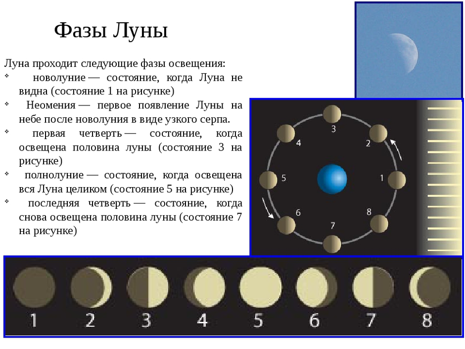 Нарисуй 4 фазы луны