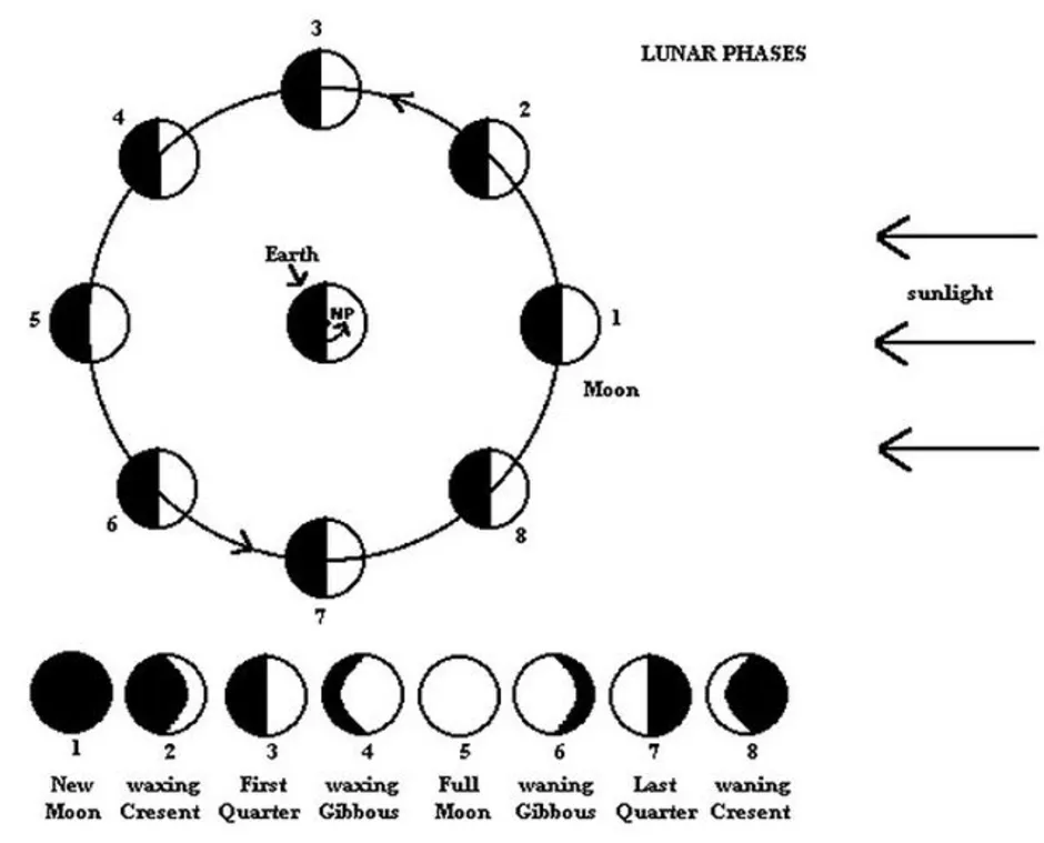 Фазы луны картинки схема