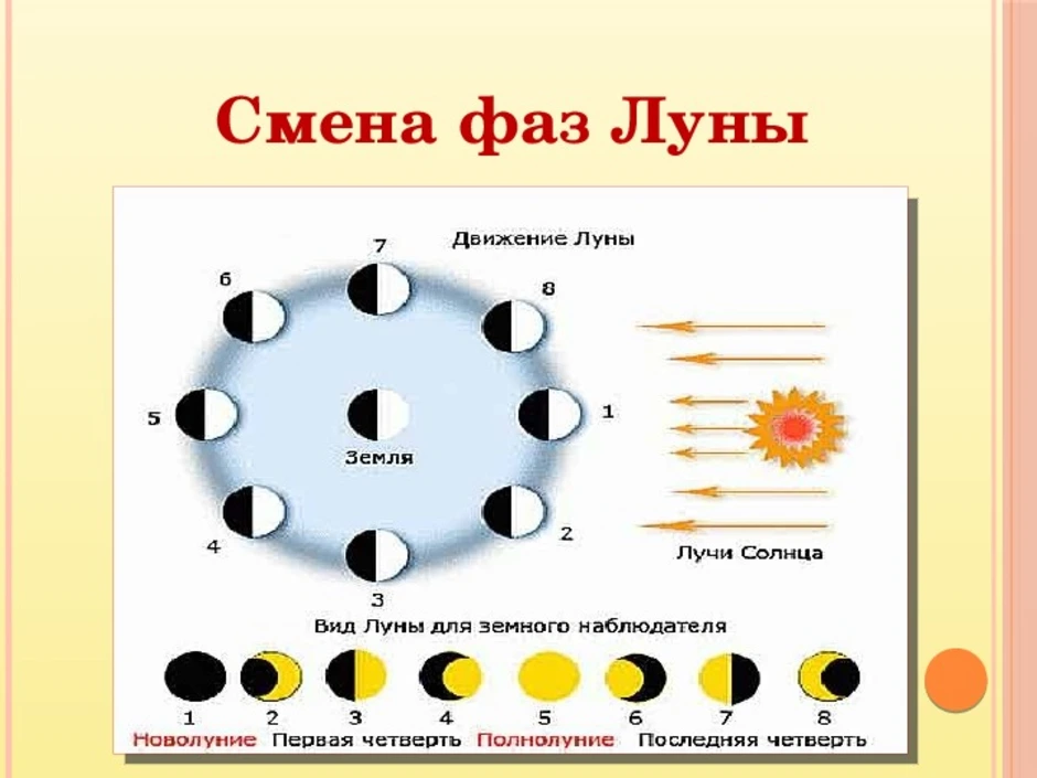 Фазы луны солнечные и лунные затмения презентация