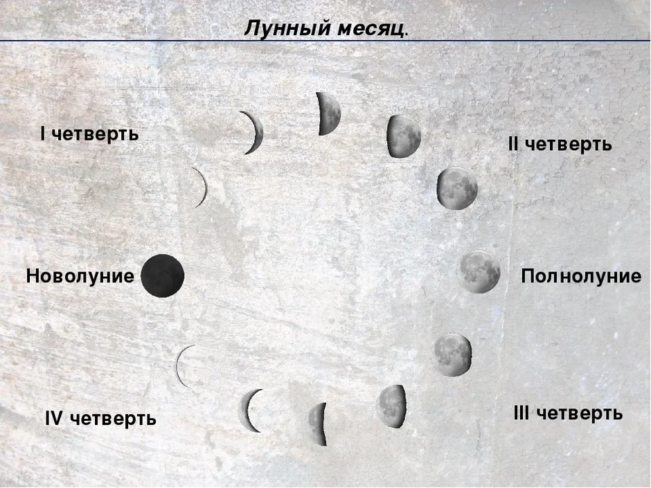 4 фазы луны в картинках с названиями