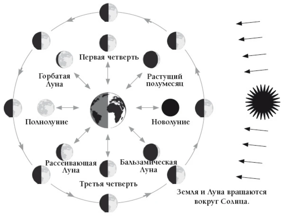 Фазы луны проект