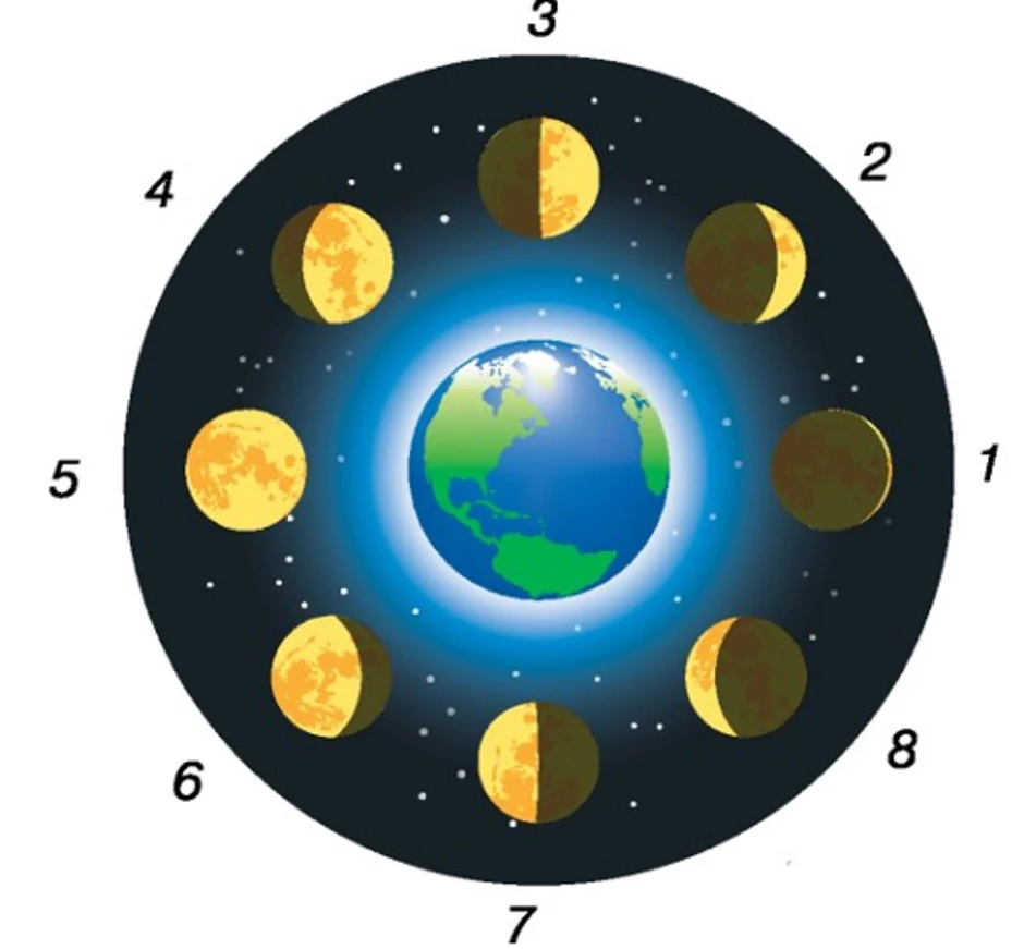 Фазы луны в картинках для детей