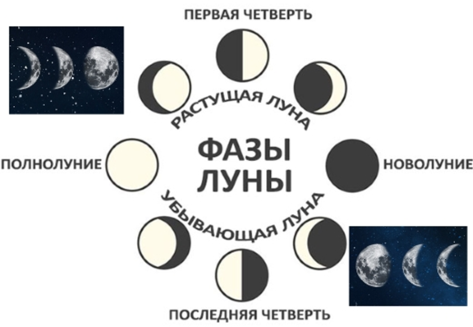 Схема полнолуния. Фазы Луны. Фазы Луны с названиями. Фазы Луны изображение. Фазы Луны рисунок.