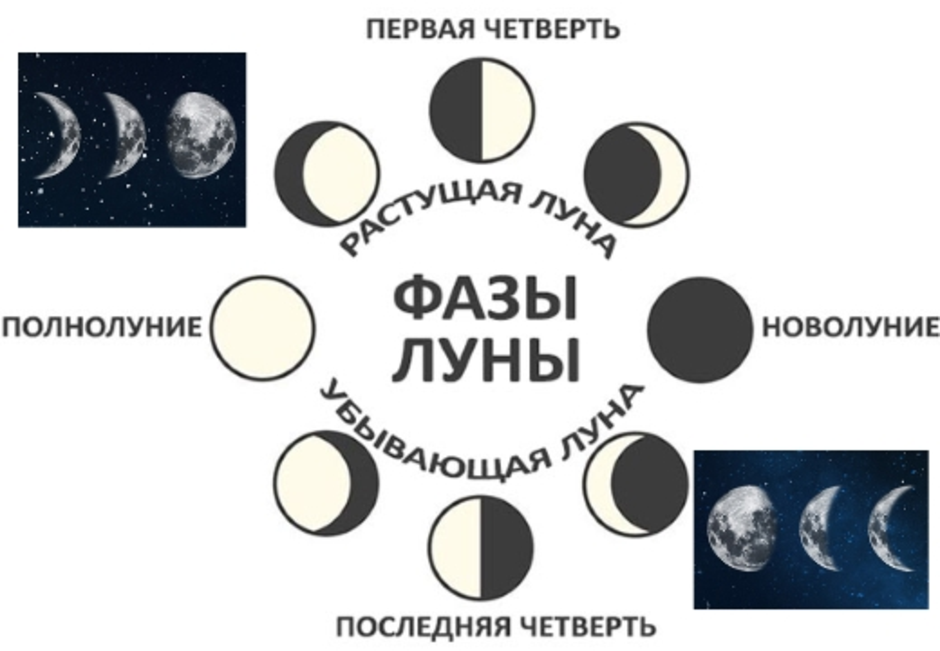 4 фазы луны в картинках с названиями