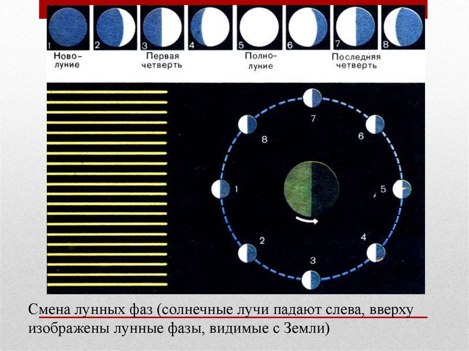 Как происходит смена лунных фаз рисунок