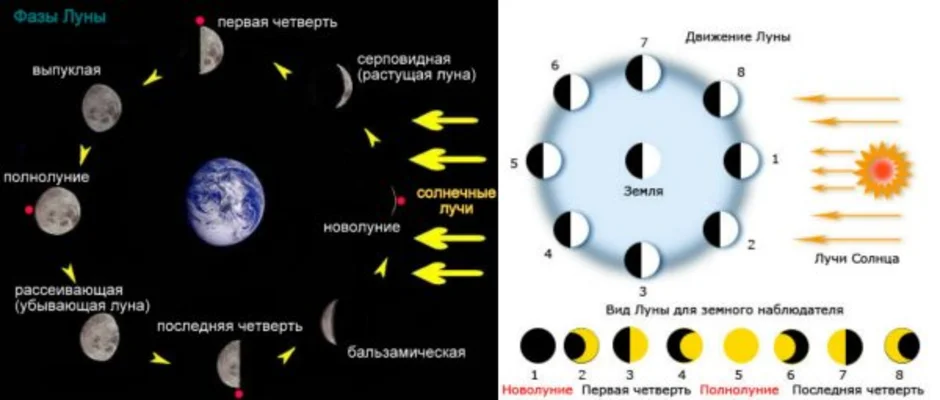 Как определить луну. Ориентирование по фазам Луны. Фазы Луны по сторонам света. Положение Луны относительно горизонта. Ориентация по фазам Луны.