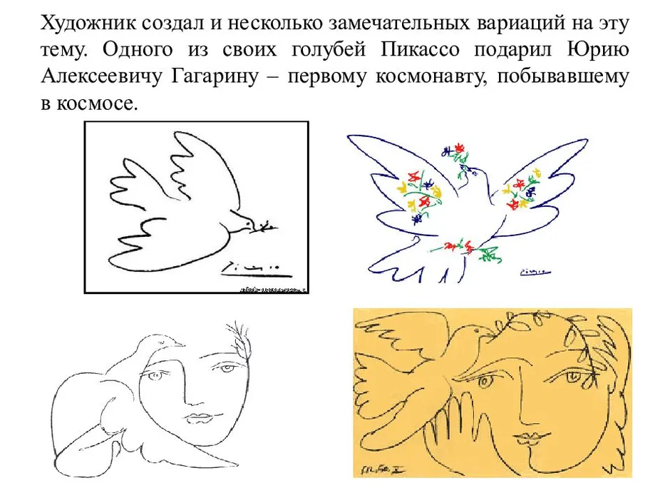 Голубь мира пикассо рисунок