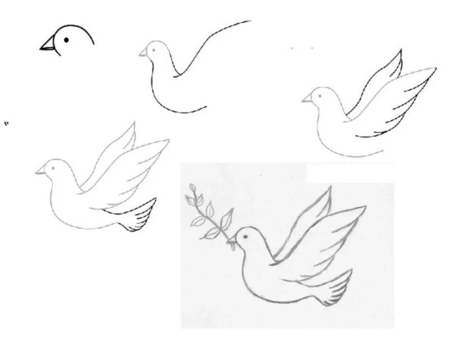 Нарисовать голубя на 9. Этапы рисования голубя. Этапы рисования голубя для детей. Поэтапное рисование голубя.