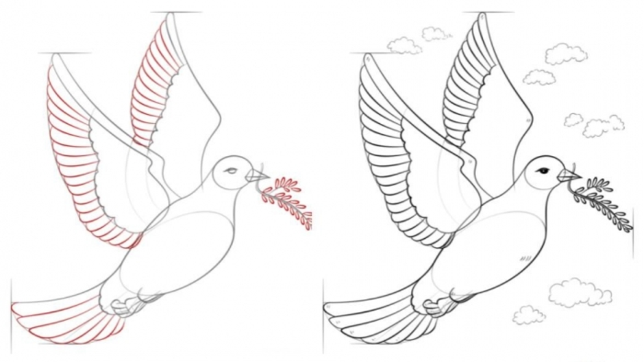 Как нарисовать голубя мира к дню победы поэтапно