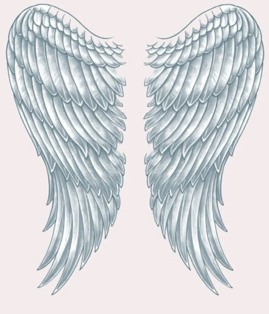 Angel wings. Крылья ангела. Крылья эскиз. Сложенные Крылья ангела. Форма крыльев ангела.