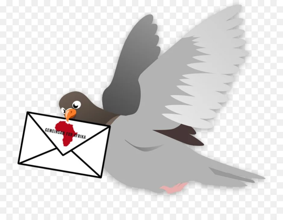Почтовый голубь пабг мобайл. Птица с конвертом. Голубь с конвертом. Голубь с письмом. Птичка с письмом.